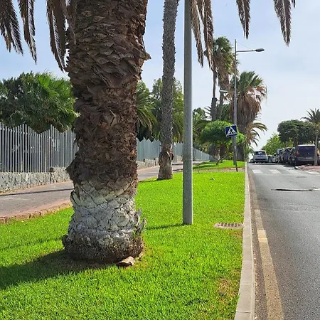 Appartement Casa Terrasol