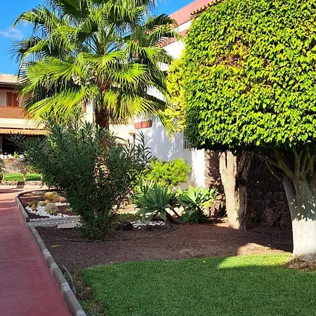 Casa Terrasol Apartment
