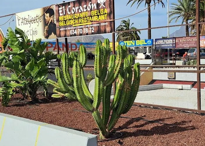 Casa Terrasol * 아로나