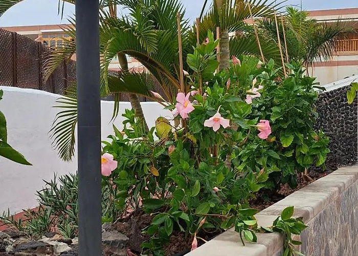 아파트 Casa Terrasol *