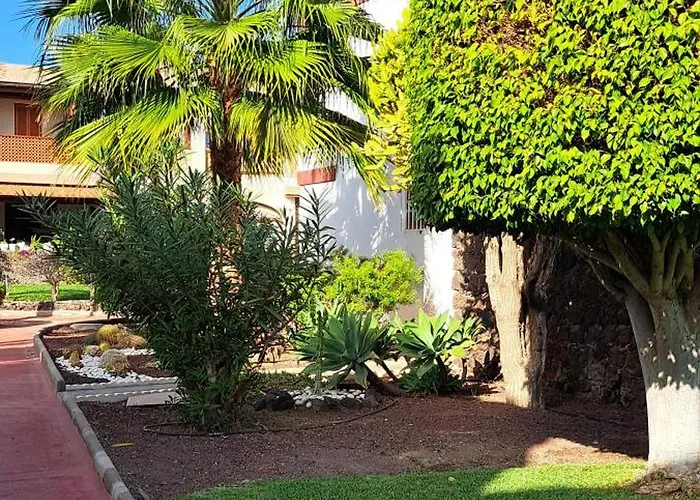 Casa Terrasol 아파트