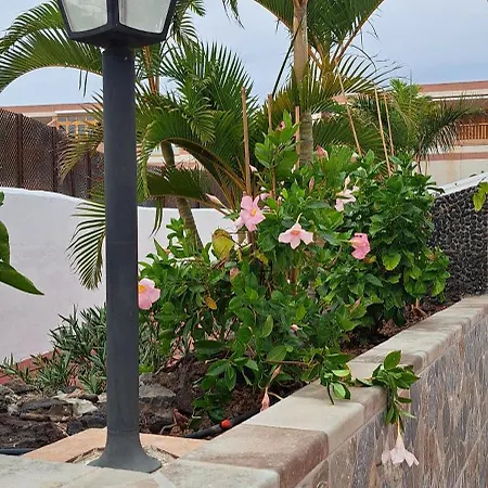 Διαμέρισμα Casa Terrasol *